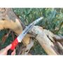 Razortooth Pruning Saw – Corona – 13″